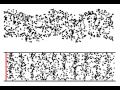 Particle motion in Transverse and Longitudinal wave gif