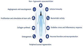 Physiological Therapeutic Effects of Hyperoxia