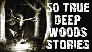 50 TRUE Skinwalker \& Deep Woods Scary Stories | Mega Compilation | Horror Stories To Fall Asleep To