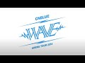 【 RUS sub】CNBLUE Wave Arena Tour 2014 Live Concert in Osaka HD DVD