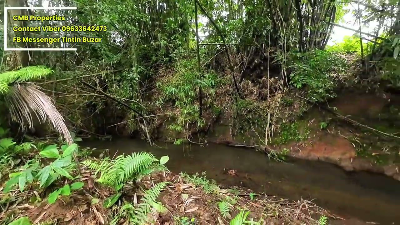 PROPERTY #12 | 6,860 sqm Farm | Vacation House | ₱6.5M | Tayabas City