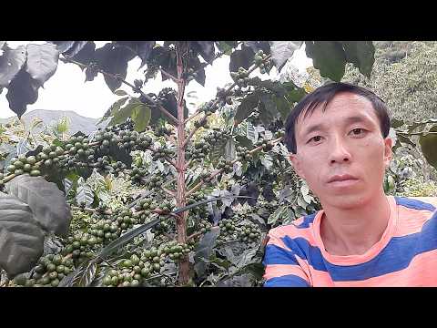 6 hli ntuj nag nyob toj siab 13/6/2026