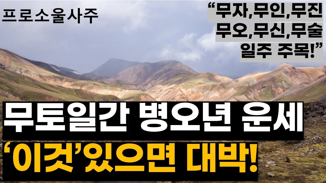 무토일간 2026년 병오년 운세 