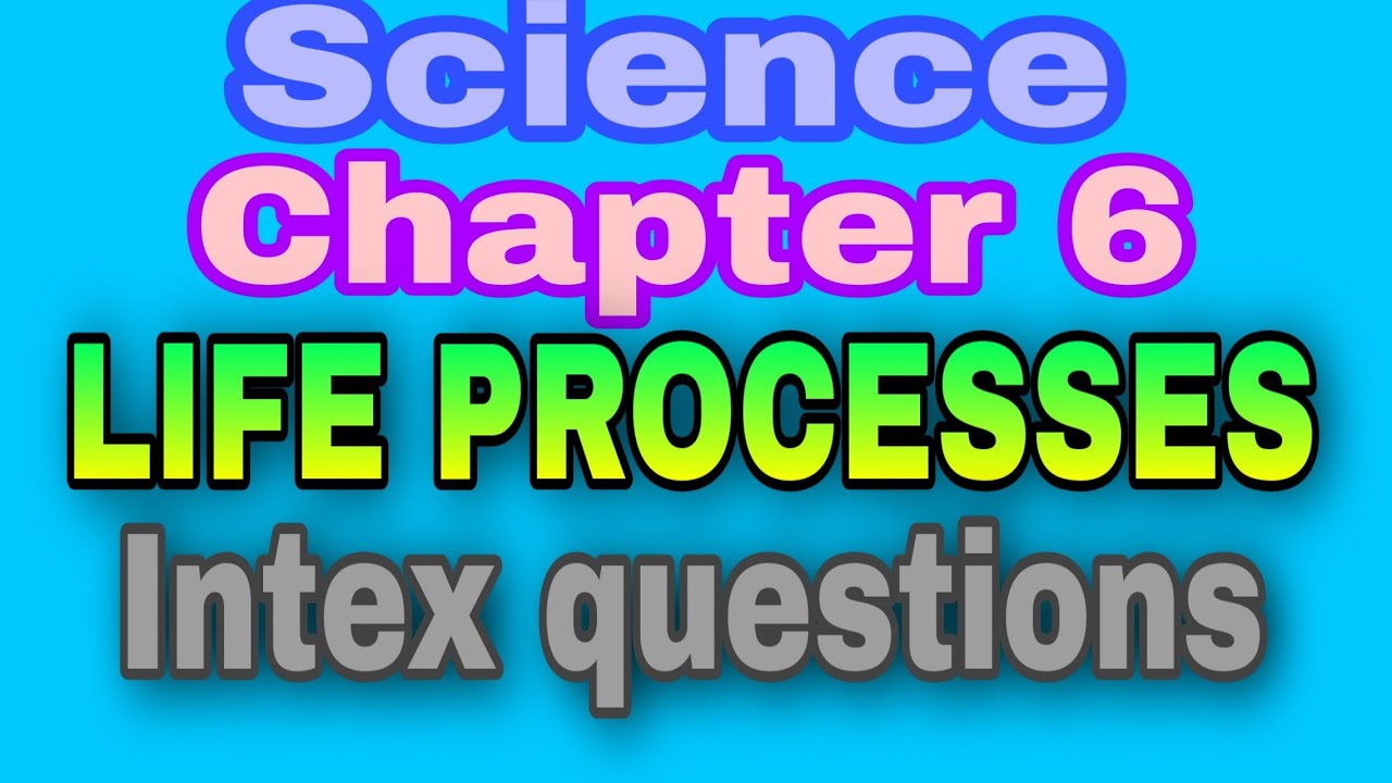 Class 10 Science chapter 6 LIFE PROCESSES intex questions YouTube