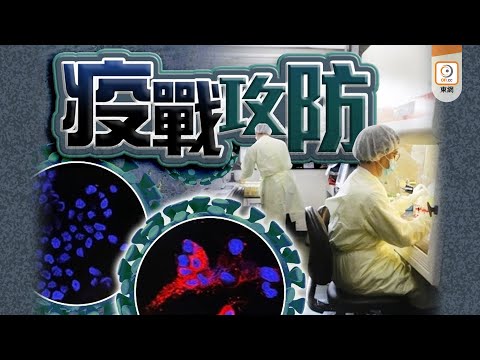【on.cc東網】港大成功分離Omicron病毒株盼開發新疫苗　兩周後進行動物實驗
