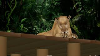 Tired Lioness V02