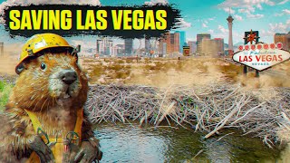 How Beavers Are Saving Las Vegas from Water Drought | Full Documentary