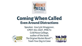 Coming When Called…Even Around Distractions by YourDogsFriend 981 views 9 months ago 2 hours, 20 minutes