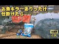 川にお魚キラーありったけ仕掛けてやった！