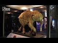 Mammoths Ice Age Giants The Preview Natural History Museum Mammoths Ice Age Giants The Preview Natural History Museum