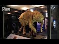 Mammoths: Ice Age Giants - the preview | Natural History Museum