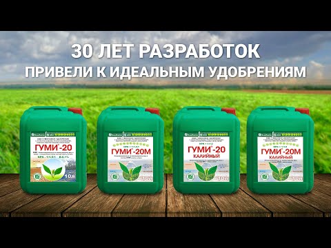 Video: Гуми же көп кырдуу каз - сорттору жана өстүрүү