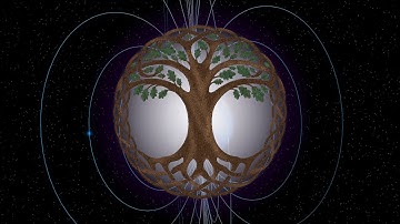 005 ♥ The Vortex, The Torus & The Geometry of Life