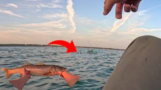My Friend Got Chased By a SHARK! (EPIC STRIPER FISHING)