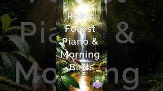 Rainy Forest Piano & Morning Birds #Shorts#RainSounds#SleepMusic#StressRelief#Relaxation