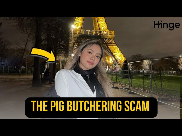 An Encounter with a Singaporean Crypto Scammer on Hinge Dating app | Pig Butchering Scam class=