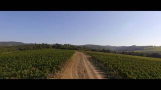 Present and future. Luce and its new winemaking facility.