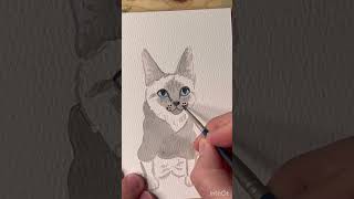 I’m going to start uploading full length watercolor videos and tutorials on my Patreon! by Lucas Farrar 72 views 1 year ago 9 minutes, 19 seconds