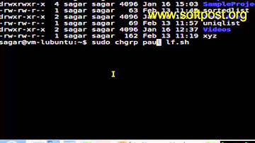 how to change the group ownership of file in Mac OS X Terminal