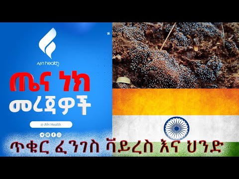 ቪዲዮ: ጥቁር ፈንገስ ሊሰራጭ ይችላል?