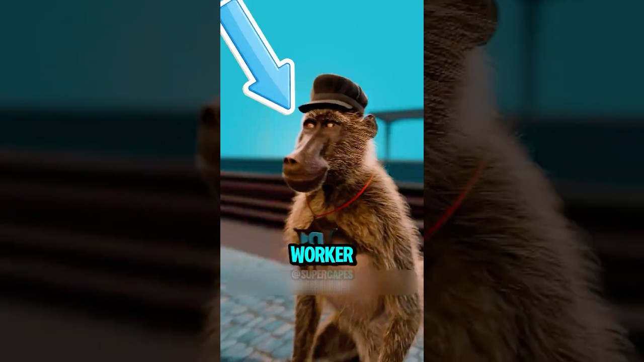 A Baboon Becomes An Official Railway Worker And Never Makes A Train Mistake 🤯🚂