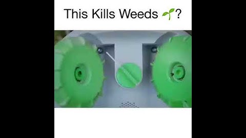 This kill weeds robotics