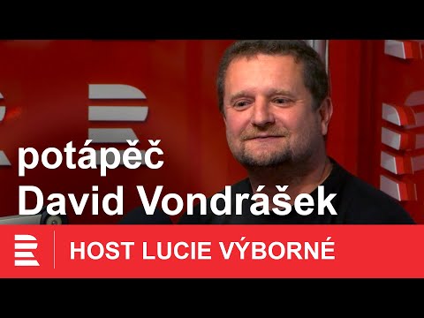 David Vondrášek: Až