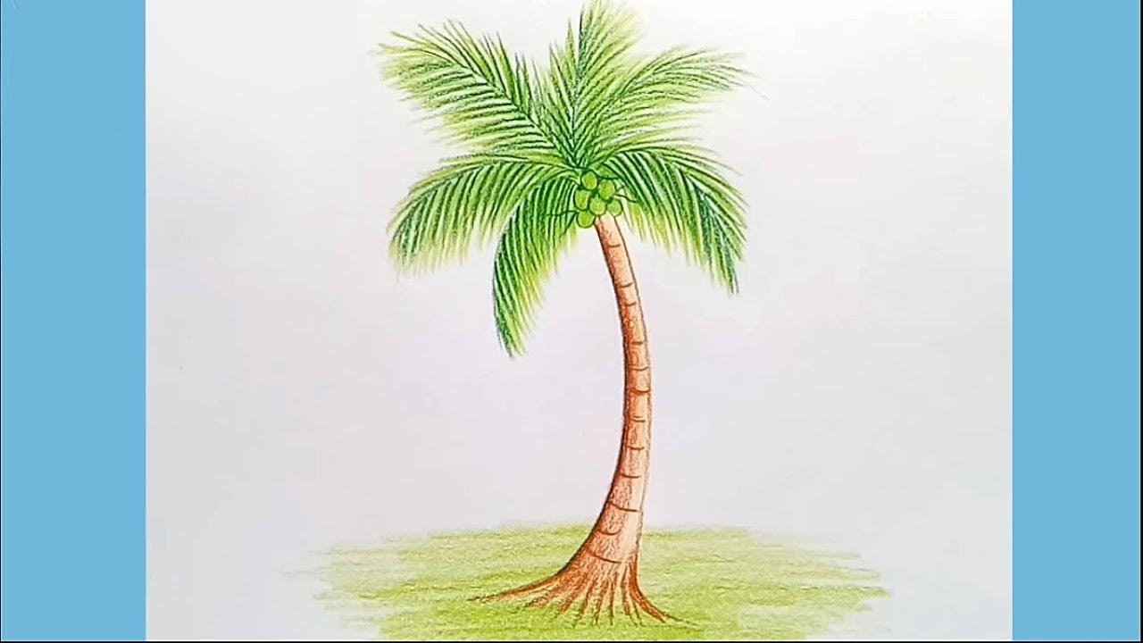 How to Draw A Beach Landscape with a coconut tree in Pencil - YouTube
