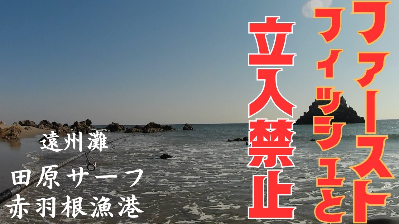 【遠州灘サーフ】2026年ファーストフィッシュ！と立入禁止【田原サーフ】【赤羽根漁港】