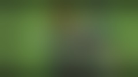 NEW WOOD ENV BASE 100+ waves ZOMBS.io