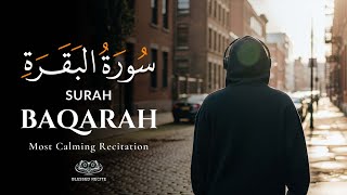 Peaceful Quran Recitation | Surah Al-Baqarah | Sheikh Mohamed Ahmed Hassan | Blessed Recite