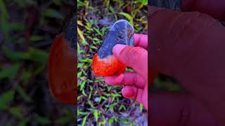 Hunting for unique stones and beautiful motifs at rock mining sites. #hunting #gemstone #goldmine