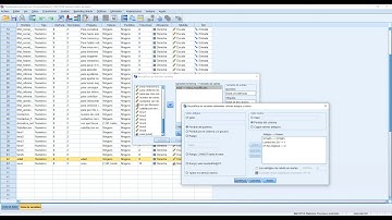 Recodificación de una variable métrica en una nominal con SPSS. Autora: María Sicilia.