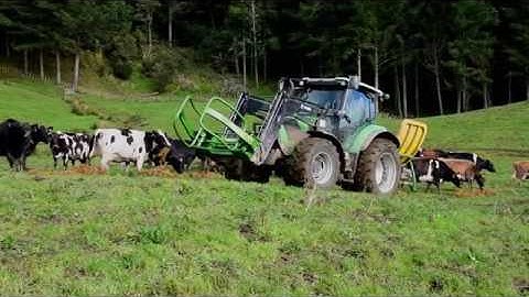 David Fagan   Chainless 2000