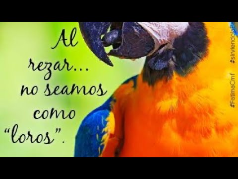 Evangelio martes 24 febrero 