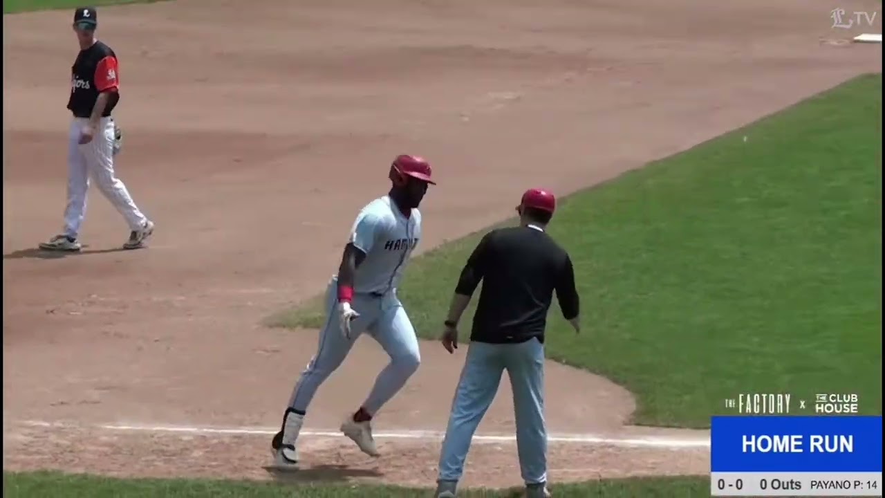 Josh Williams 1B/DH 2025 CBL Highlights (Hamilton Cardinals) 