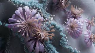 Jos & Eli - I Can See (Official Visualiser)