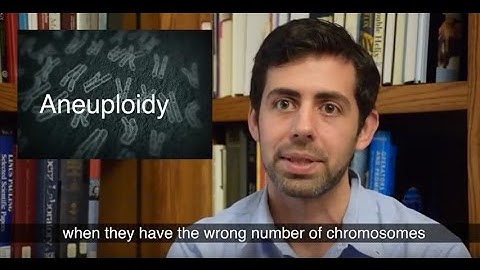 Relationship between incorrect chromosome number and cancer is reassessed