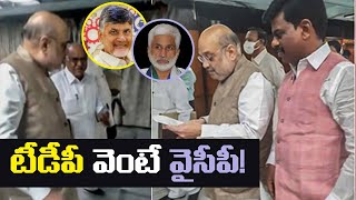 టీడీపీ వెంటే వైసీపీ | Reasons Behind The Chandrababu Delhi Tour Failed | TDP vs YSRCP | Leo Politics