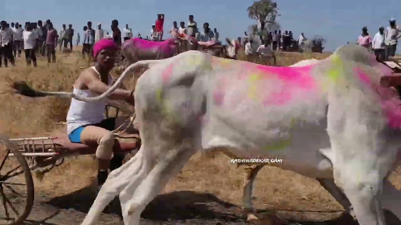  द वडगाव आदत दुस्सा तिन्ही गट 2k26 