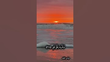سورة الذاريات ❤️ أية 24
