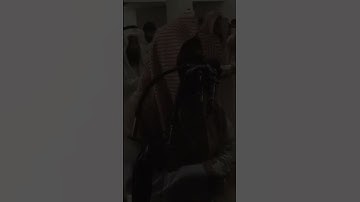 ابداع.🌴. تلاوه تريح القلب سوره الفرقان.. محمد اللحيدان 🌿