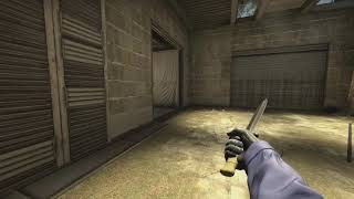CS:GO Ace with AWP for 10 seconds