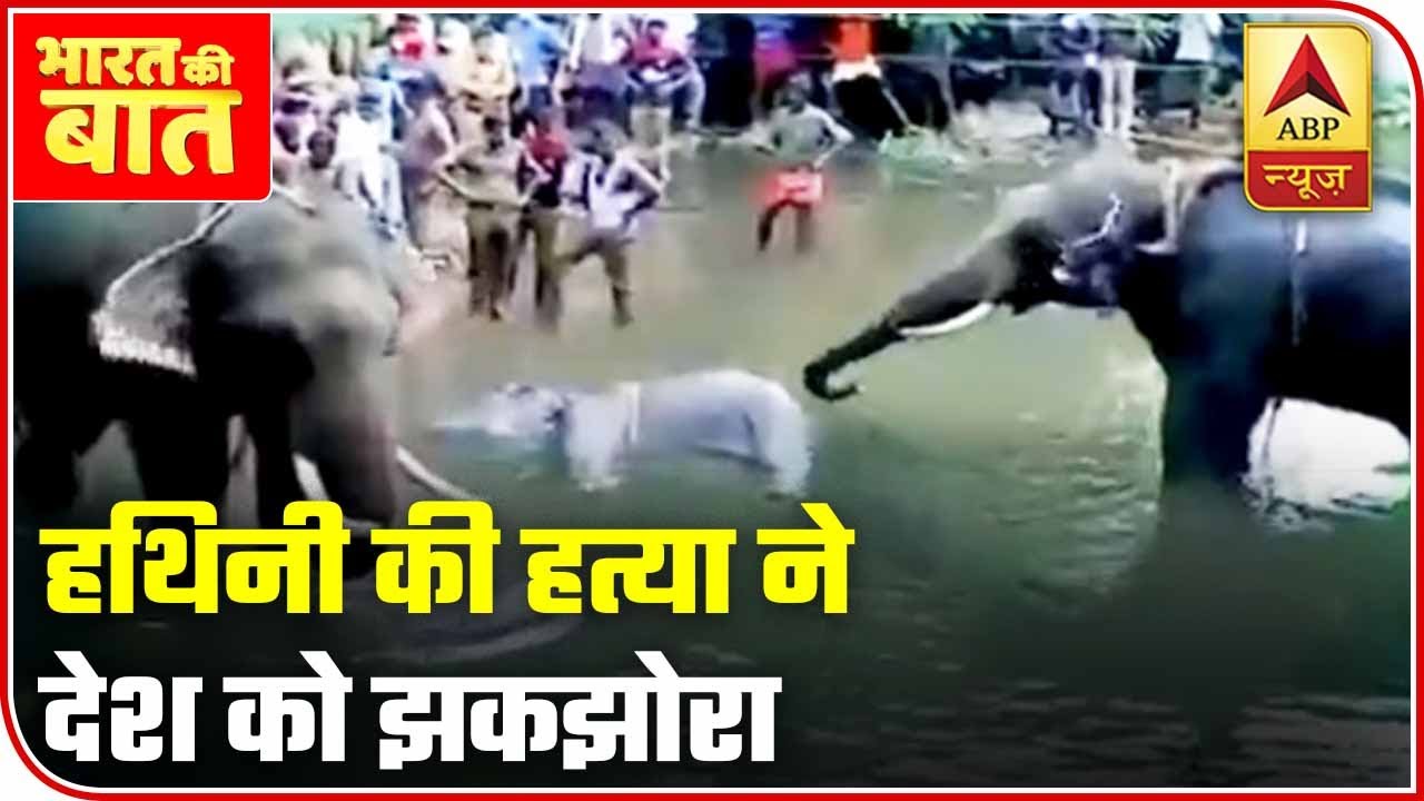 Not Nisarga, But Death Of An Elephant Shook The Nation | Bharat Ki Baat | ABP News