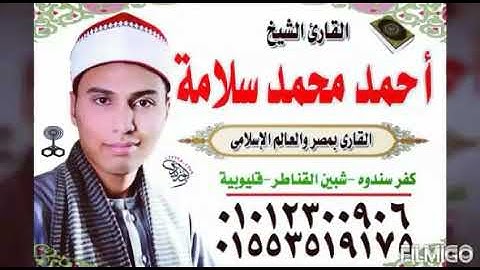 القارئ الشيخ أحمد محمد سلامة  ال عمران