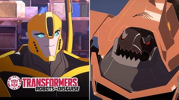 Bumblebee Vs Quillfire  Official Clip | Robots in Disguise Season 1 | Transformers Official