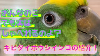 ホーム えとぴりか ホーム えとぴりか