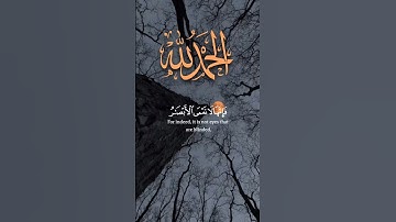 افلم يسيروا في الارض📖 #تلاوة_خاشعة #راحة_نفسية #متابعه #قران_كريم