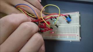 Celebrity EEE20003 Embedded Microcontrollers - Lab E3 (Charlieplexing & Analogue-to-Digital Conversion) Wealth