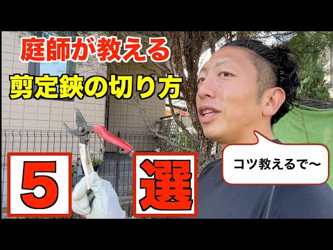 ガーデナーズサムを防ぐ！ハンドル改造で親指の痛みを根本解決